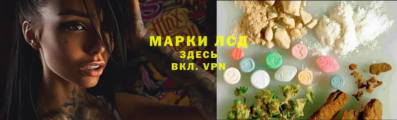 LSD-25 экстази ecstasy  даркнет телеграм  Каргополь  магазин   